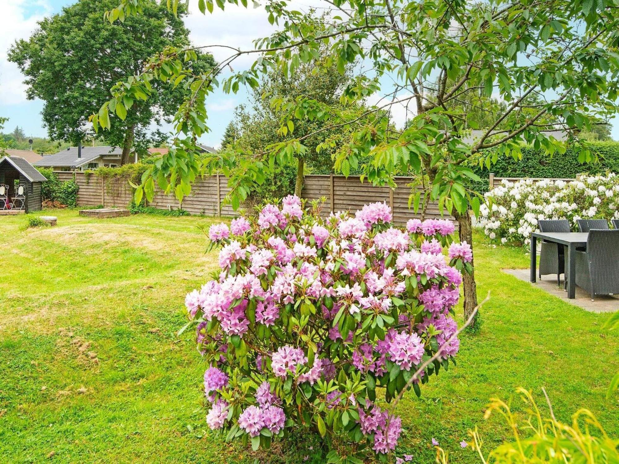5 Person Holiday Home In B Rkop Egeskov  エクステリア 写真